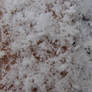 Snow Flakes Macro
