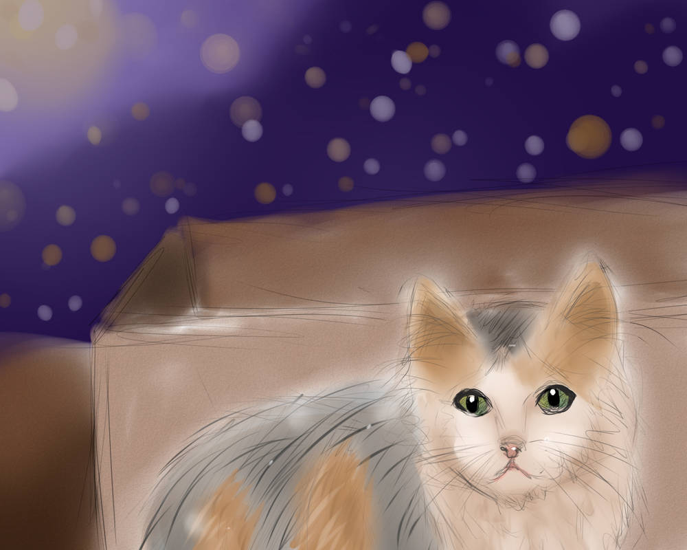 Pretty Little Kitty by theoneandonlycopycat on DeviantArt