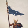 Viking 1 banner