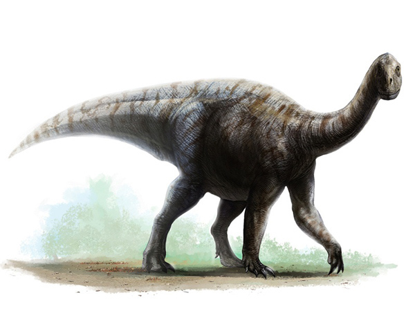 Lufengosaurus huenei