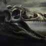 Head_of_Dromaeosaurus