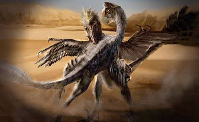 Velociraptor VS. Oviraptor