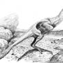 Oviraptor philoceratops sketch