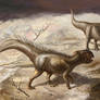 Koreaceratops hwaseongensis