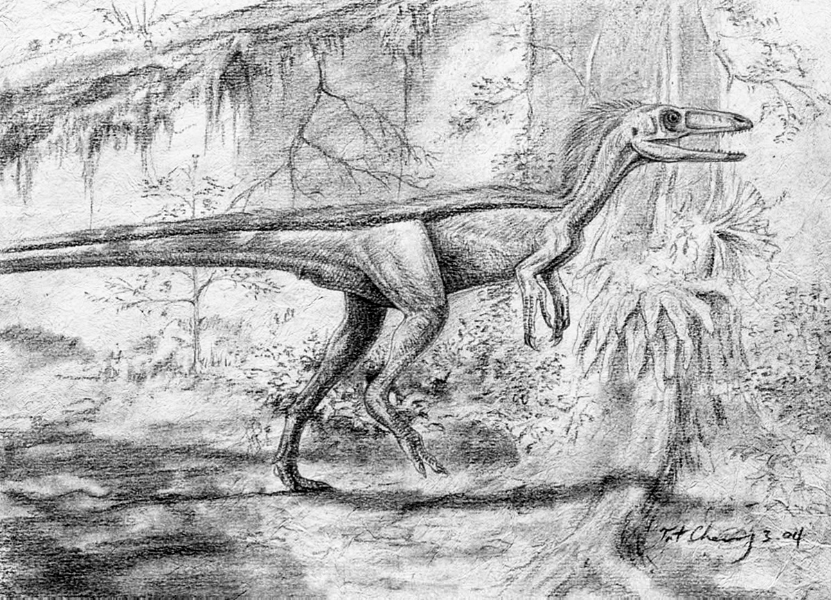 Huaxiagnathus orientalis