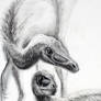 Jehol Biota--Graciliraptor lujiatunensis--Close-up