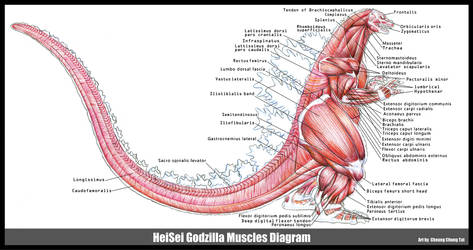 HeiSei 90s Godzilla Muscles Diagram