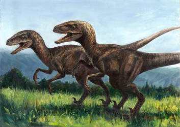 JP1 Velociraptors in field