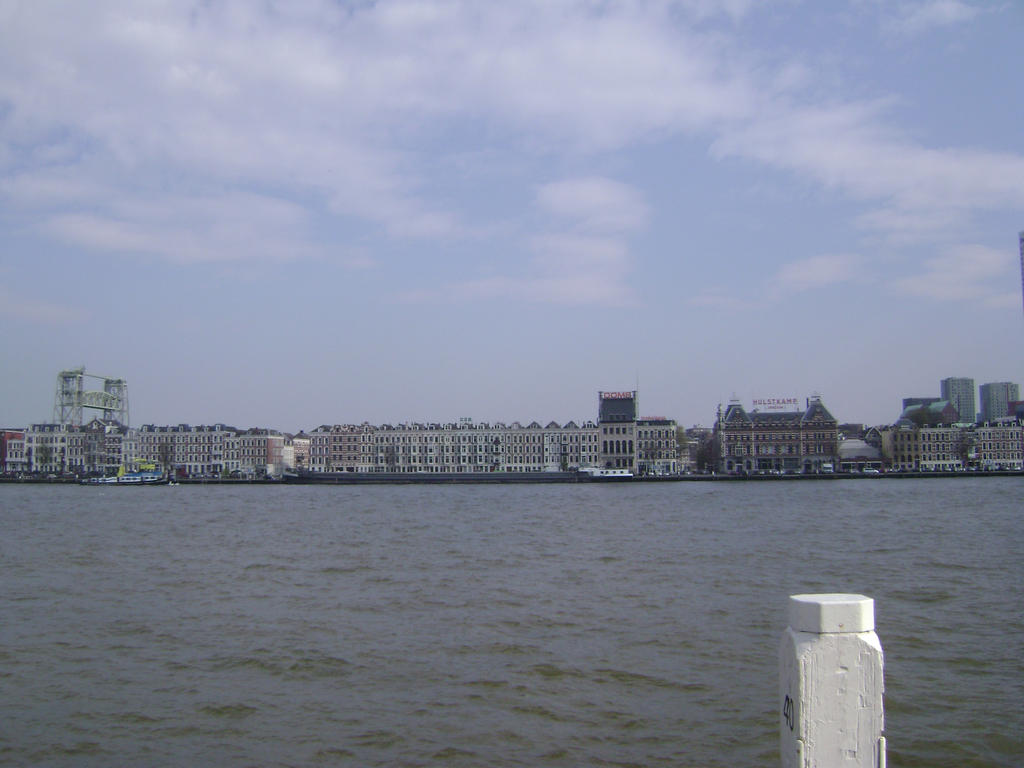 The long shore of River Maas II