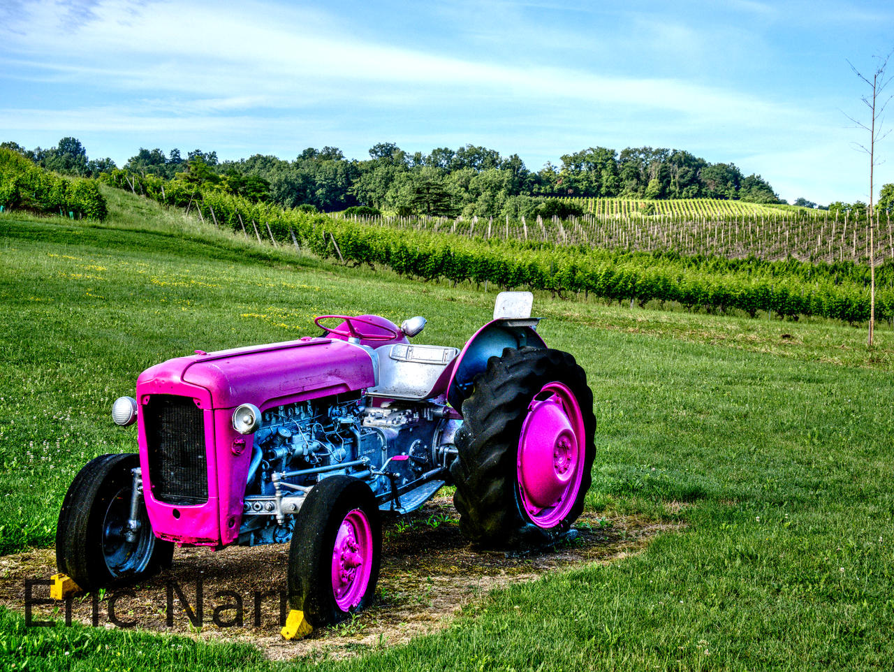 https://images-wixmp-ed30a86b8c4ca887773594c2.wixmp.com/f/f38bd36f-bfc7-4fbf-931e-93a12b13a823/dfzmdqe-21c6a00f-1075-48e1-9331-268d3b6decae.jpg/v1/fill/w_1280,h_962,q_75,strp/pink_tractor_1_by_ericnarro_dfzmdqe-fullview.jpg?token=eyJ0eXAiOiJKV1QiLCJhbGciOiJIUzI1NiJ9.eyJzdWIiOiJ1cm46YXBwOjdlMGQxODg5ODIyNjQzNzNhNWYwZDQxNWVhMGQyNmUwIiwiaXNzIjoidXJuOmFwcDo3ZTBkMTg4OTgyMjY0MzczYTVmMGQ0MTVlYTBkMjZlMCIsIm9iaiI6W1t7ImhlaWdodCI6Ijw9OTYyIiwicGF0aCI6IlwvZlwvZjM4YmQzNmYtYmZjNy00ZmJmLTkzMWUtOTNhMTJiMTNhODIzXC9kZnptZHFlLTIxYzZhMDBmLTEwNzUtNDhlMS05MzMxLTI2OGQzYjZkZWNhZS5qcGciLCJ3aWR0aCI6Ijw9MTI4MCJ9XV0sImF1ZCI6WyJ1cm46c2VydmljZTppbWFnZS5vcGVyYXRpb25zIl19.Ek4xuKXVzPxUS9_fwUrdYwqUC5tbRhd1cZJYdFgy_M0
