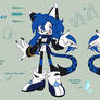 Riszi reference sheet 2025