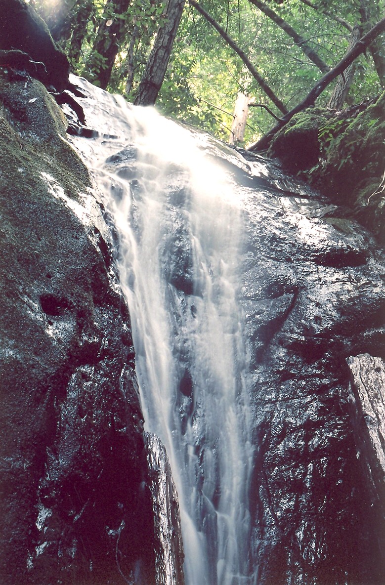 Falls