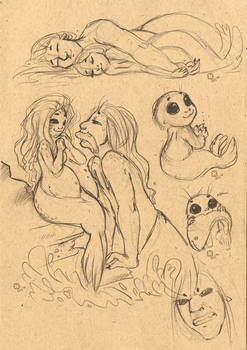 Selkie Sketches