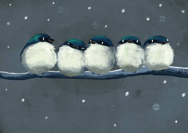 Snowey Swallows