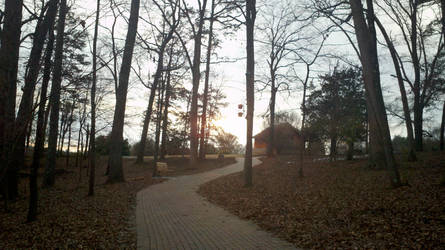 pathway through the gardens