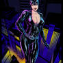 Catwoman Pinup Colours