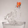Jump Fish Jump
