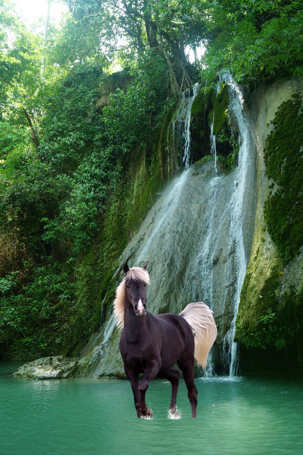 Horse In Shallow Water