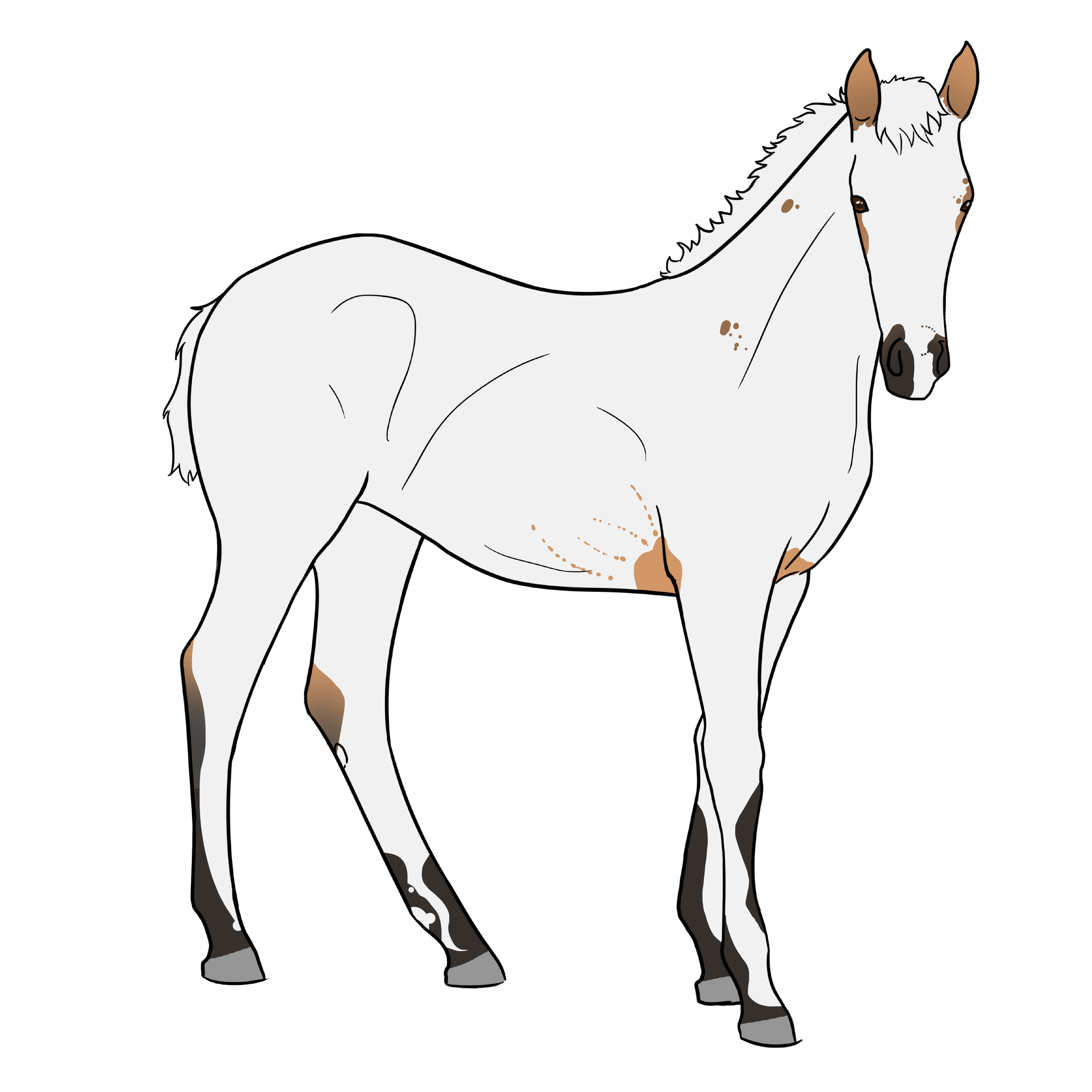 SSS Elverkonge x WIS The Icebreaker - Foal Design