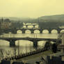 The Bridges of Prague