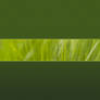 Green Fanatic