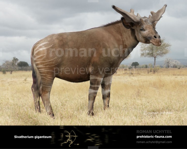 Sivatherium Giganteum By Rom u On DeviantArt sivatherium-giganteum-by-rom-u-on-deviantart