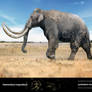 Steppe mammoth