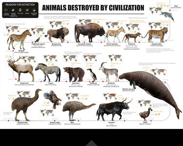 Animals destroyed by civilization.Poster