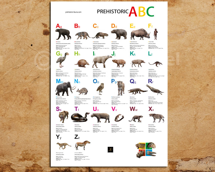 Prehistoric ABC (Extinct animals from A to Z) by Rom-u on DeviantArt Prehistoric ABC (Extinct animals from A to Z) by Rom-u on DeviantArt