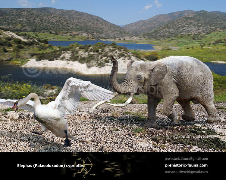 Palaeoloxodon cypriotes by Romu on DeviantArt
