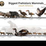 Biggest Prehistoric Animals of SA (Carnivore)