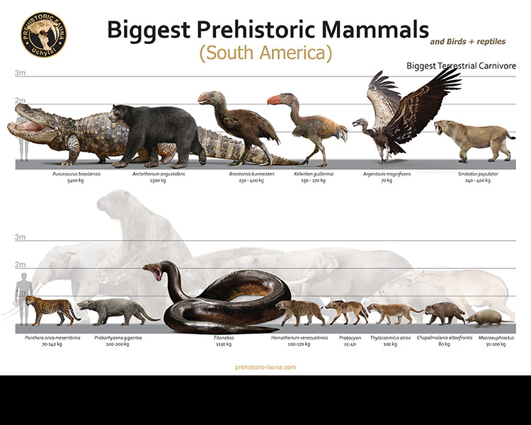 Biggest Prehistoric Animals of SA (Carnivore) by Rom-u on DeviantArt