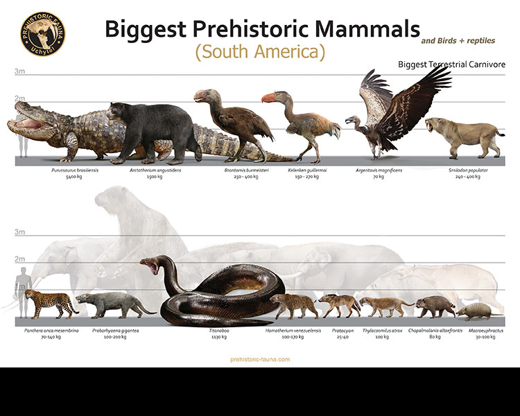 Biggest Prehistoric Animals of SA (Carnivore) by Rom-u on DeviantArt Biggest Prehistoric Animals of SA (Carnivore) by Rom-u on DeviantArt