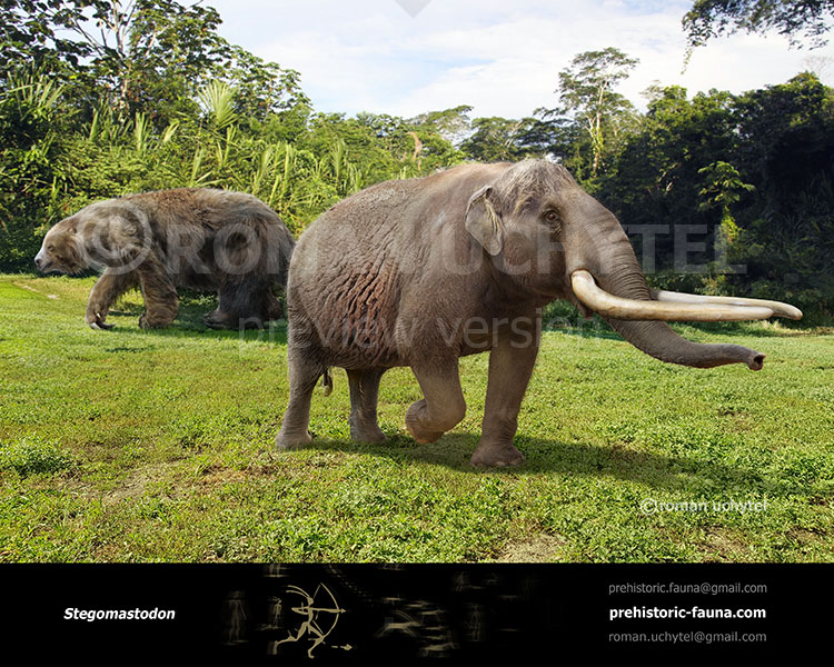 Stegomastodon by Romu on DeviantArt