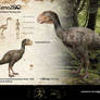 Gastornis