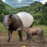 Lophialetes and Asian tapir (size comparison)