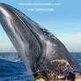 Blue whale and Indohyus