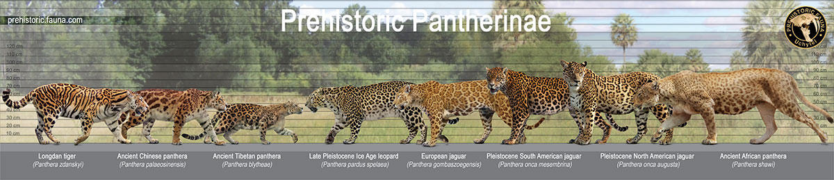 Prehistoric Pantherinae