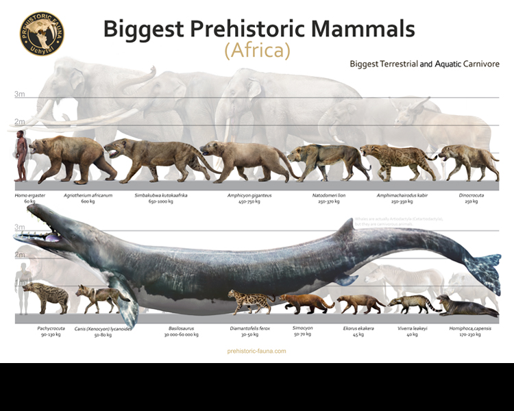Biggest Prehistoric Mammals of Africa (Carnivore) by Rom-u on DeviantArt
