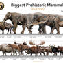 Biggest Prehistoric Animals of Europe (Herbivore)