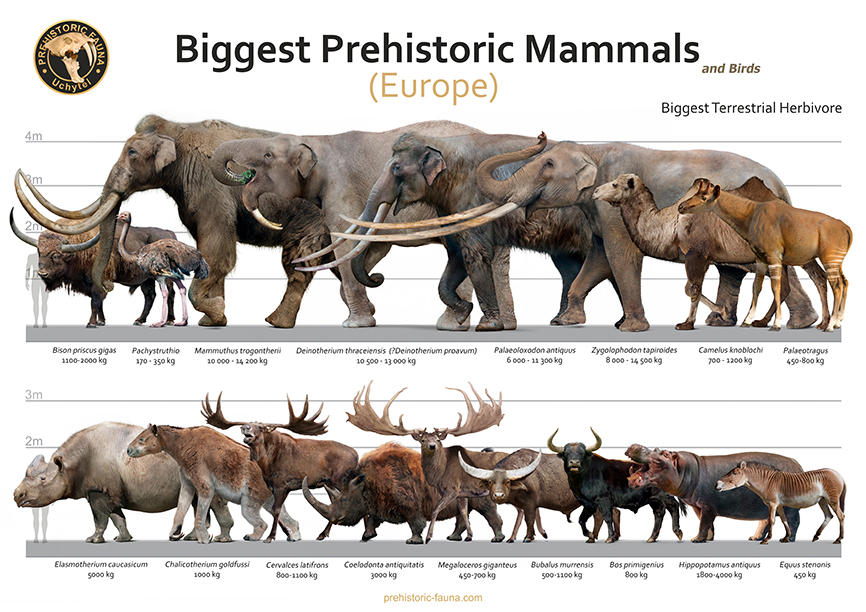 Biggest Prehistoric Animals of Europe (Herbivore) by Rom-u on DeviantArt