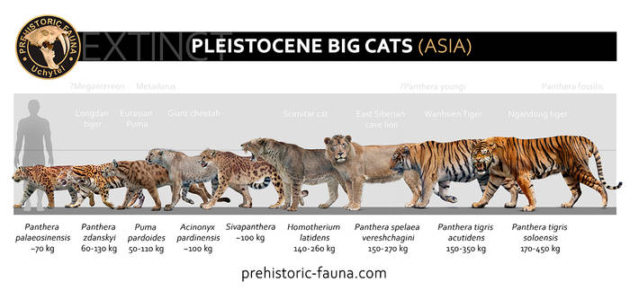 pleistocene_big_cats__asia__by_rom_u_dffamwk-350t.jpg