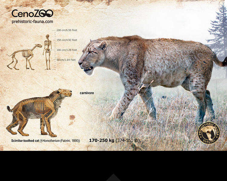 Homotheriini Homotherium-(reconstruction) by Rom-u on DeviantArt
