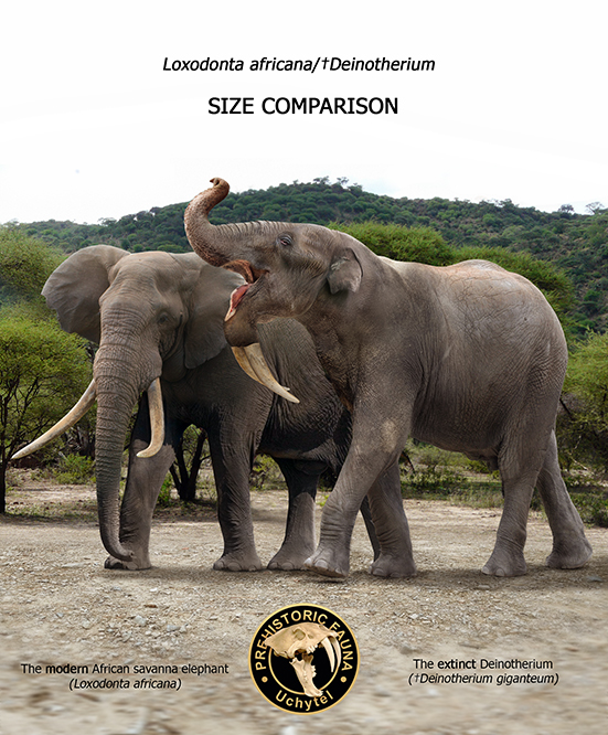  Posterazzi Deinotherium compared to a modern adult African  Elephant Poster Print, (32 x 24): Posters & Prints