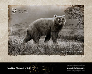 Nandi bear