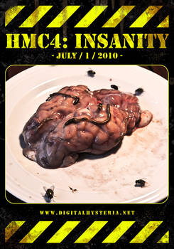 HMC4 INSANITY BRAIN