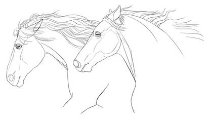 Horses sketch