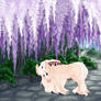 T907 WWA Sugared Up Starlight