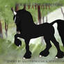 U975 Bataille Design