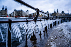 A Cold Day in Copenhagen